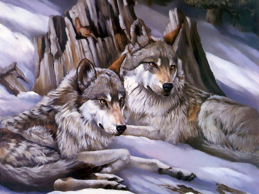 300302 (a): :1024x768
